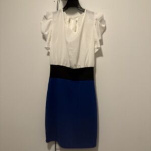 Windsor White and Blue Mini Dress